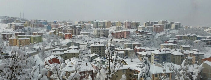 Piryancılar Caddesi is one of สถานที่ที่บันทึกไว้ของ Gül.
