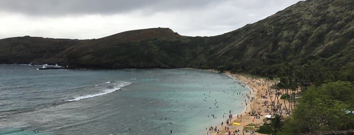 Hanauma Bay Nature Preserve is one of Chris’s Liked Places.