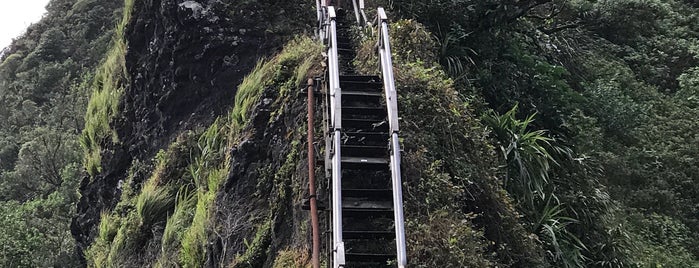 Stairway To Heaven is one of Lieux qui ont plu à Chris.