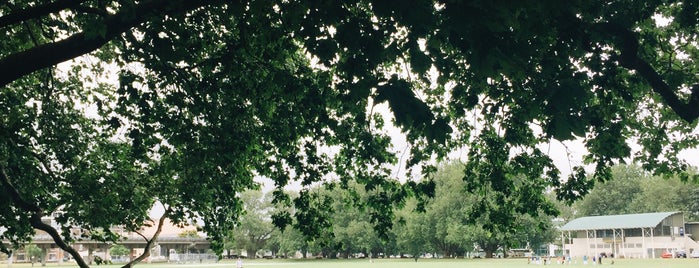 Victoria Park is one of Auckland.