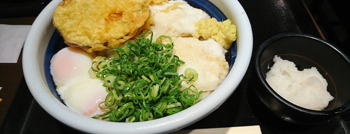 Marugame Seimen is one of うどん.