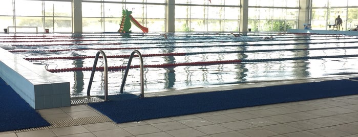 CIU Arena Swimming Pool is one of Havuzlar.