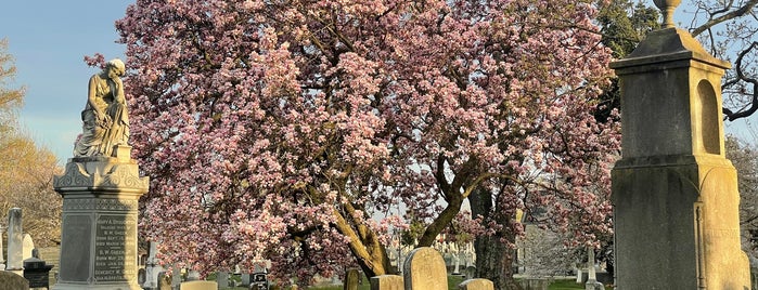 Glenwood Cemetery is one of 🇺🇸 Washington, DC - outskirts.
