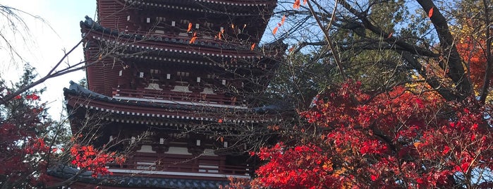 Hondo-ji Temple is one of ほっけのとーかつ松戸市.