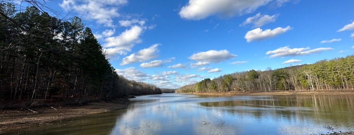 Shanty Hollow Lake is one of Bowling Green, Kentucky Attractions.