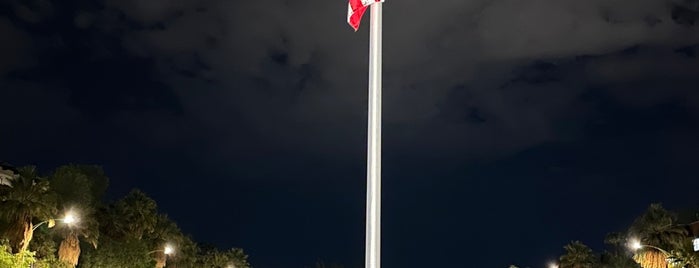 UofA Old Main Flagpole is one of Tucson Arizona.