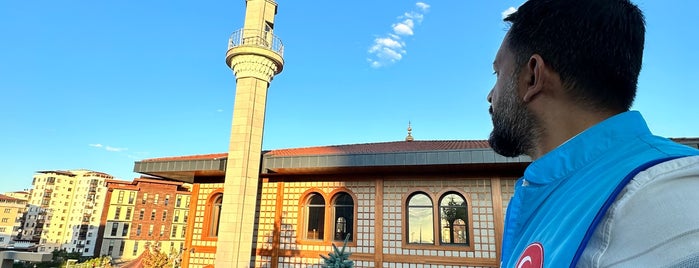 Recep Tayyip Erdoğan Üniversitesi is one of benim yerler.