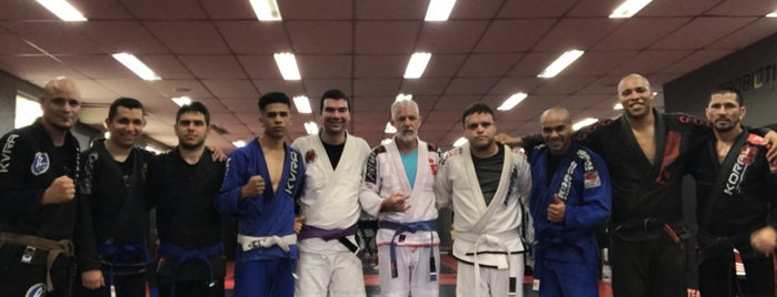 Team Nogueira SP is one of São Paulo.