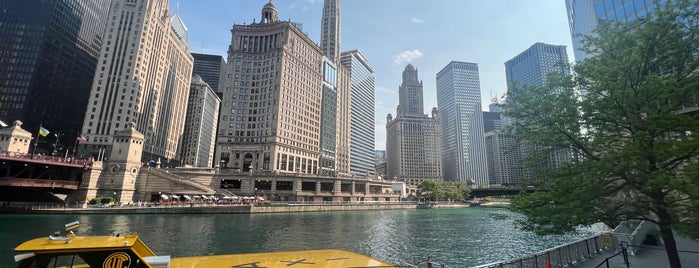 Chicago Water Taxi (Michigan) is one of daily.