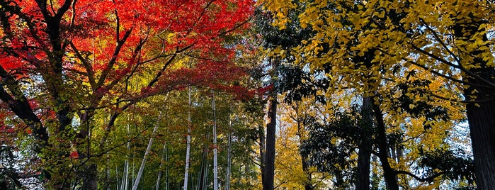 Otaguro Park is one of 気になる場所.