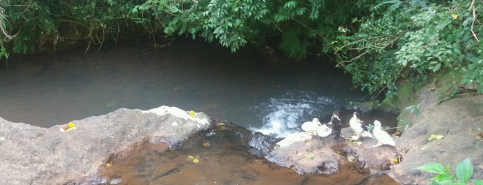 Nova Itaberaba is one of Municípios de Santa Catarina, BR (De A a O).