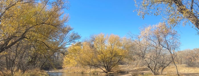 Salyer Natural Area is one of Outdoors In Fort Collins.