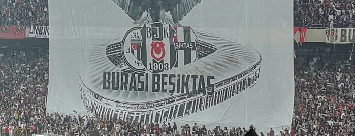 Beşiktaş İnönü Stadyumu Kapalı Üst is one of volcano.
