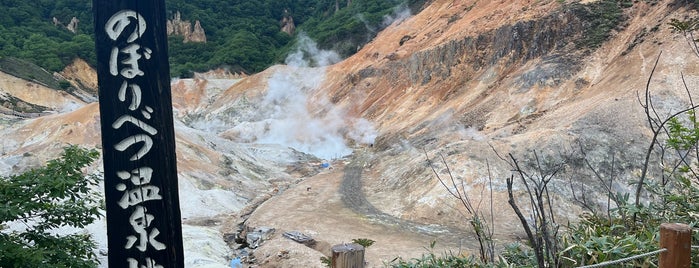 Jigokudani (Hell Valley) is one of Toya.