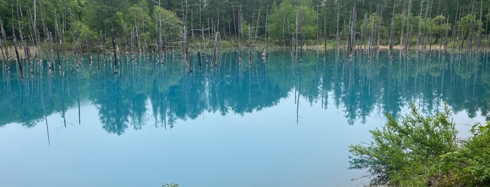 Shirogane Blue Pond is one of 死ぬまでに行けたら.