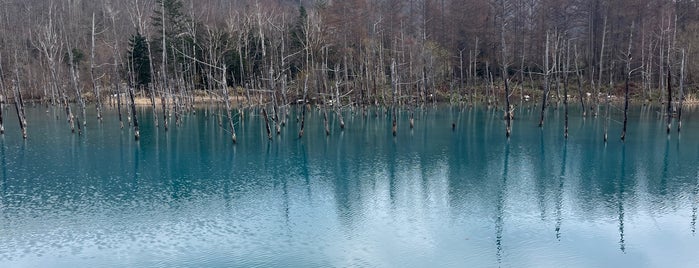 Shirogane Blue Pond is one of 気になる北海道.