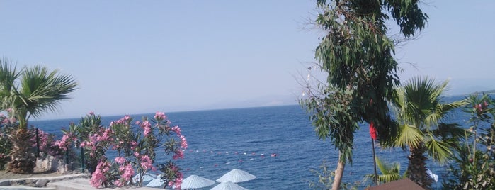 Ozanlar Sitesi Sahil is one of Tempat yang Disukai Celal.