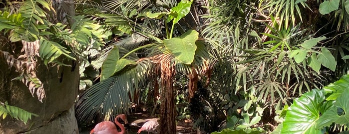 Parc Floral de Nice is one of triangolo.