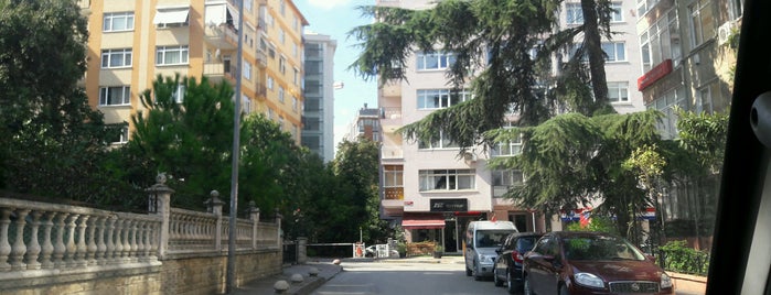 Çavuşkuşu is one of beyazsiyah.