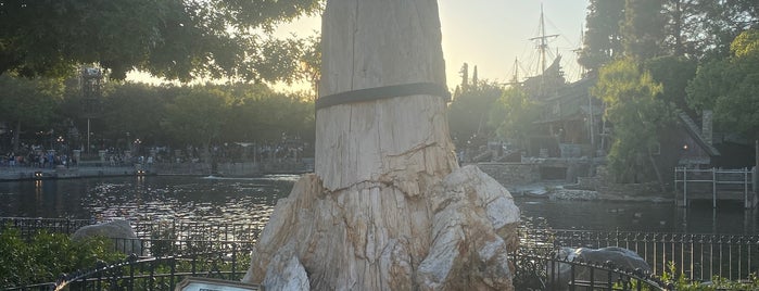 Petrified Tree is one of Disneyland.