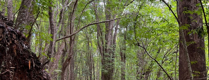 Kahakapao Loop Trail is one of Maui Eats and places to go.