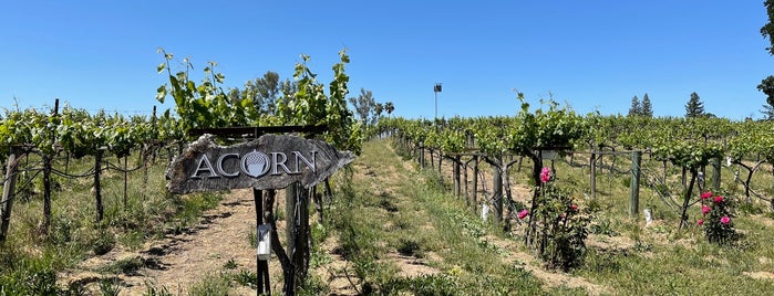 ACORN Winery is one of Napa Valley - wine.
