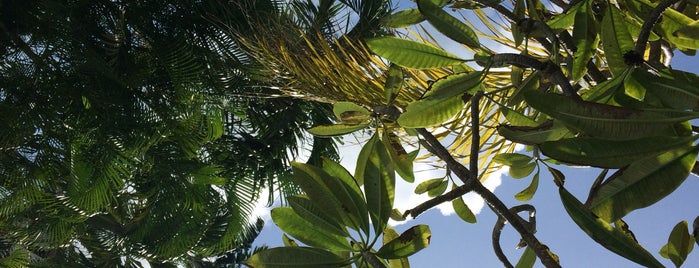 The Conch House Heritage Inn is one of Favourite Places.