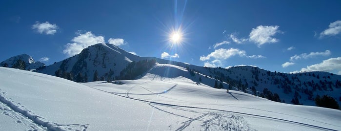 Rifugio Pajon del Cermis is one of Rifugi.