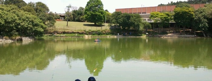 Pesqueiro Lago azul is one of Tempat yang Disukai Claudio.