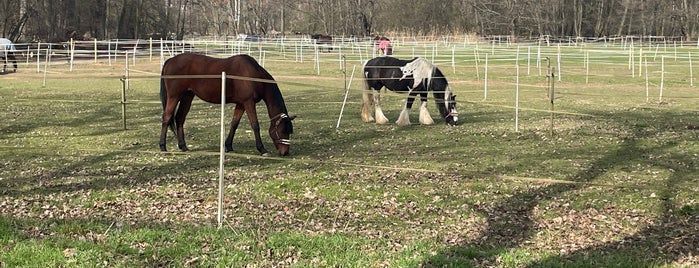 Horse Riding School is one of b ~ check !.