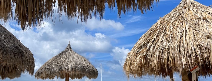 Hyatt Regency Beach is one of Aruba.