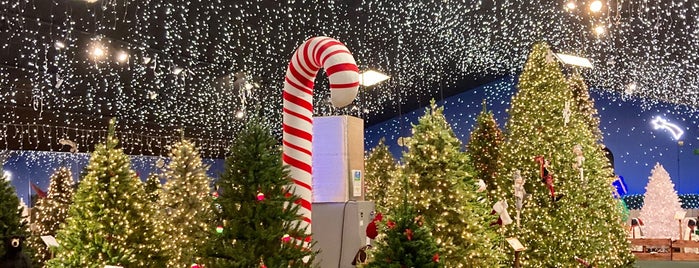 Robert's Christmas Wonderland is one of Orlando.