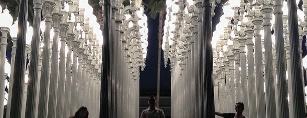 Los Angeles County Museum of Art (LACMA) is one of To Fly For.