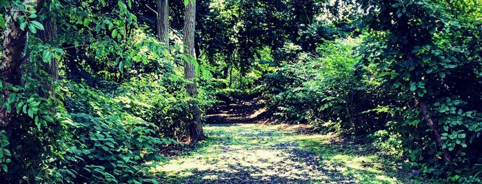 Five Islands Park is one of Great outdoors.