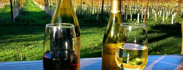 Navarro Vineyards & Winery is one of MENDOCINO, CA.