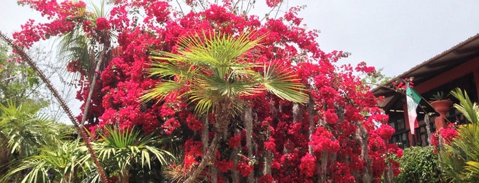 Vallarta Botanical Gardens is one of Tempat yang Disukai Tyler.