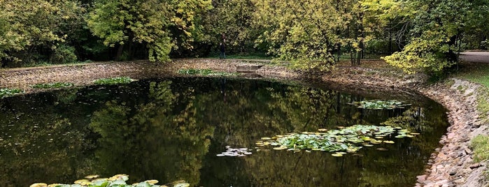 Верхний Майский пруд is one of Lugares favoritos de Lidia.