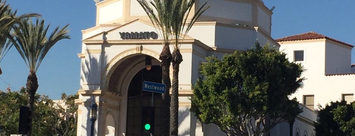Yamato Westwood is one of modern eats for the jaded, spoiled westwood child..