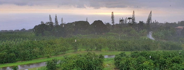 Heavenly Hawaiian Farms is one of สถานที่ที่บันทึกไว้ของ Neel.