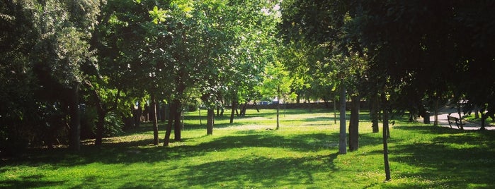 Rizari Park is one of City Walks.