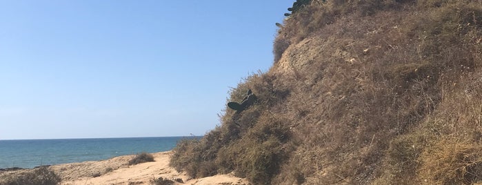 Praia dos Aveiros is one of Praias do Algarve.