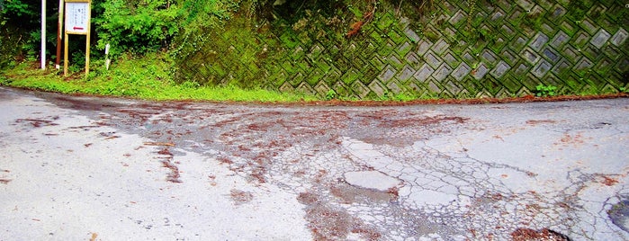 下猿田分岐 is one of 四国の酷道・険道・死道・淋道・窮道.