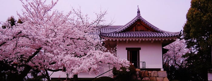 Kawanoe Castle is one of 歴史の道100選「土佐北街道」.