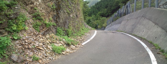 県道6号 大田尾越 愛媛・高知県境 is one of 四国の酷道・険道・死道・淋道・窮道.