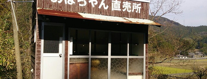 珍スポット ネタスポット集 変な場所 珍スポット ネタスポット集 変な場所