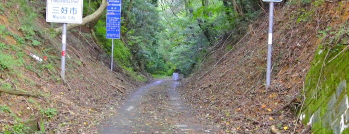 六地蔵越 is one of 四国の酷道・険道・死道・淋道・窮道.