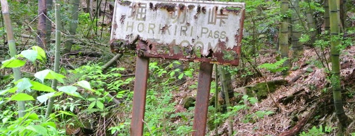 四国の酷道・険道・死道・淋道・窮道