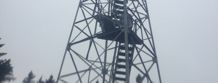 Stratton Mtn Fire Tower is one of Mike'nin Beğendiği Mekanlar.