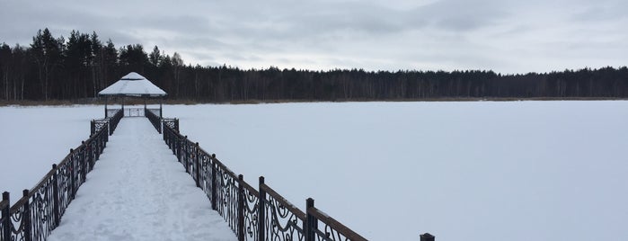 Озеро «Центральное» is one of Орловский моцион.