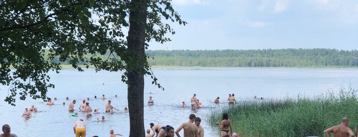 Пляж Лемболовского озера is one of Места.
